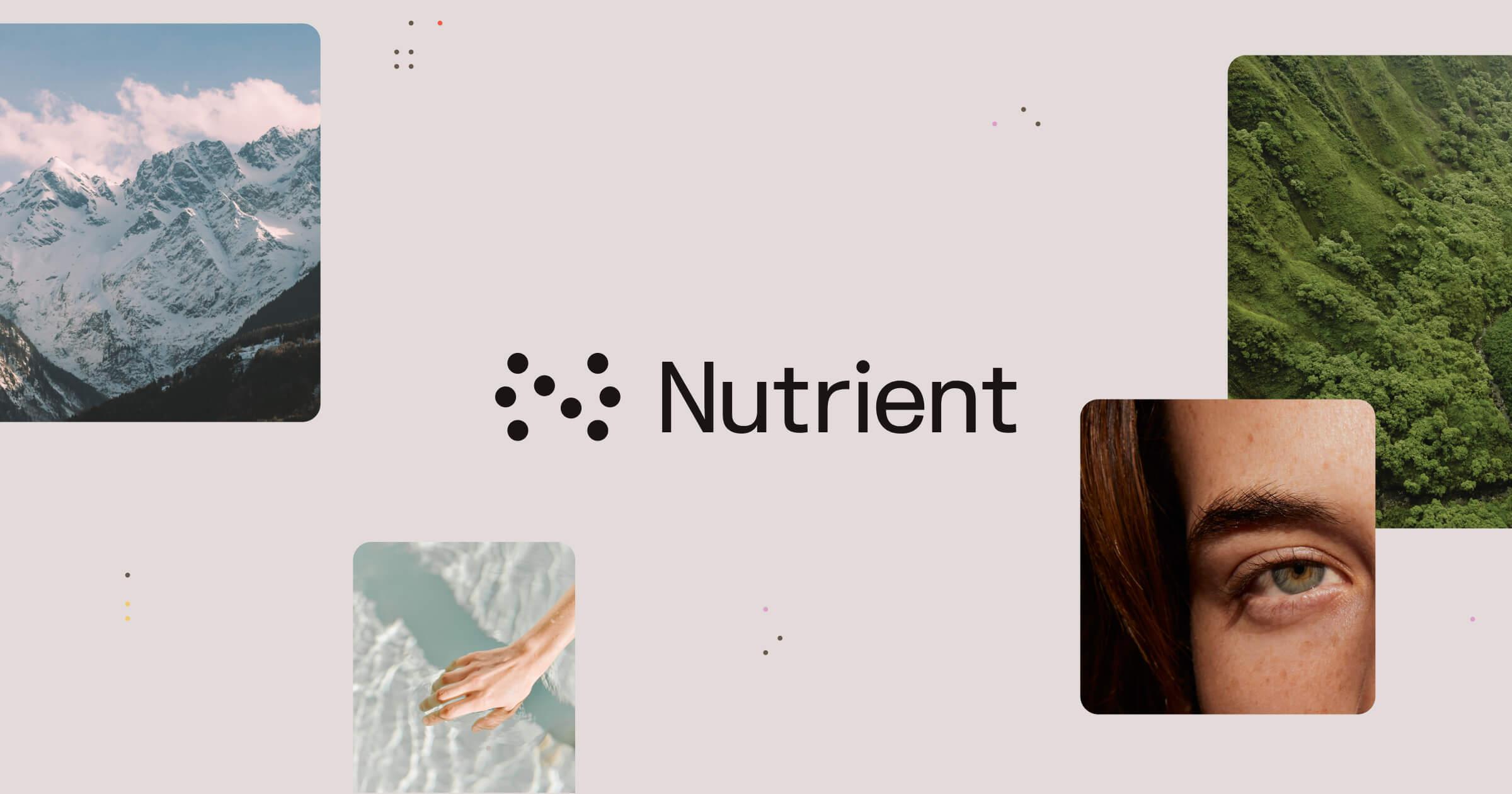 The building blocks to accelerate your digital transformation | Nutrient